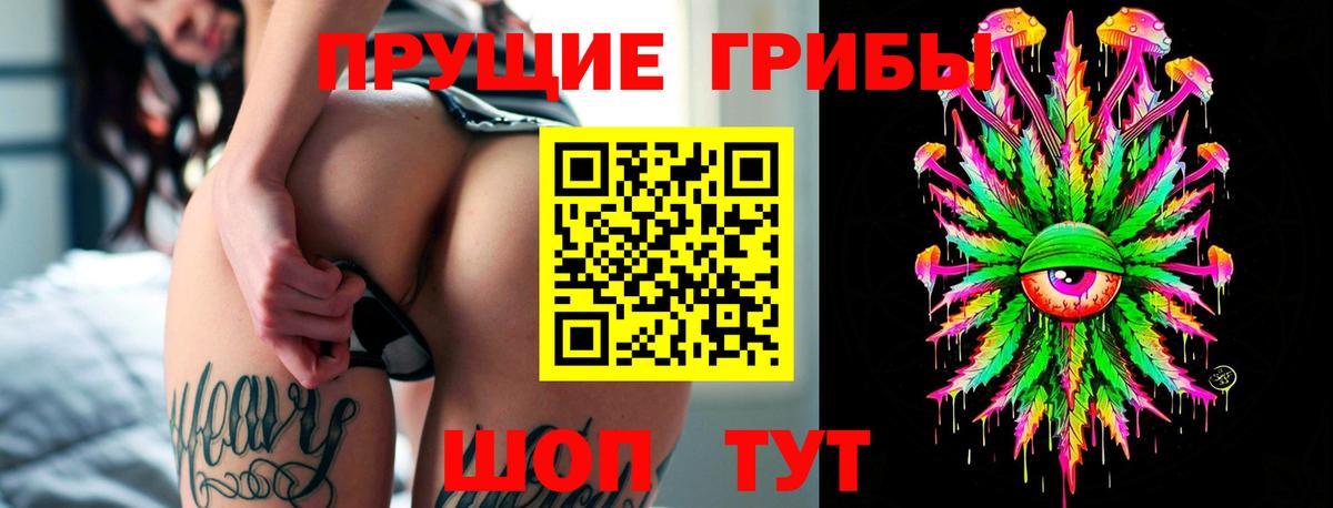 Чайковский  Псилоцибиновые грибы MAGIC MUSHROOMS  Вход с VPN 